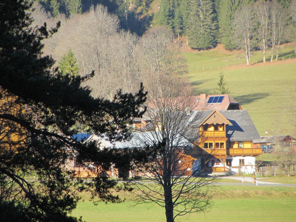 Obergrabnerhof Daire Ramsau am Dachstein Dış mekan fotoğraf